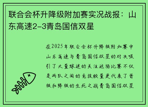 联合会杯升降级附加赛实况战报：山东高速2-3青岛国信双星